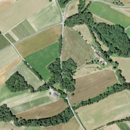 Nyon District map(satellite map)