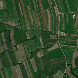Siculeni map(satellite map)