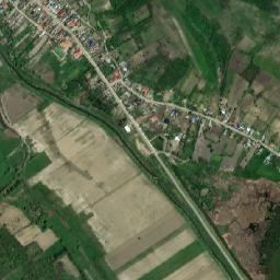 Puieşti map(satellite map)