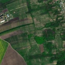 Alexandru Vlăhuţă map(satellite map)