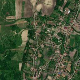 Petrilaca map(satellite map)