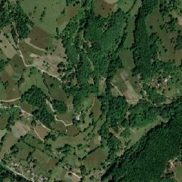 Poiana Vadului map(satellite map)