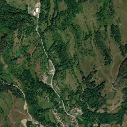 Sălciua de Sus map(satellite map)
