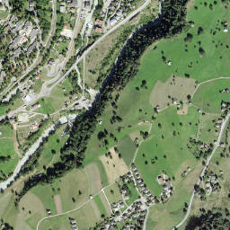 Fiesch map(satellite map)