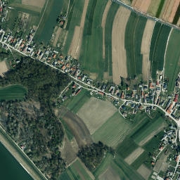 Markovci map(satellite map)