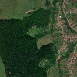 Bordoșiu map(satellite map)