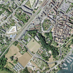 Nyon map(satellite map)