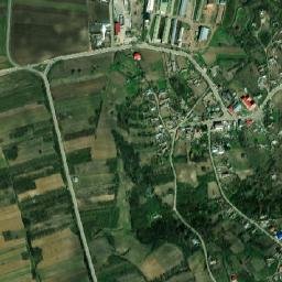 Viişoara map(satellite map)