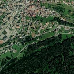 Moena map(satellite map)