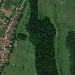 Sălașuri map(satellite map)