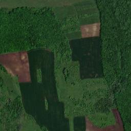 Bichiș map(satellite map)