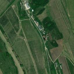 Vultureni map(satellite map)