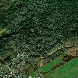 Mandeville map(satellite map)
