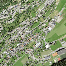 Leysin map(satellite map)