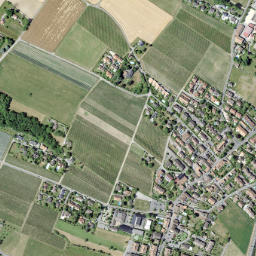 Founex map(satellite map)