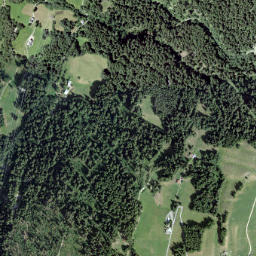 Region Bernina map(satellite map)