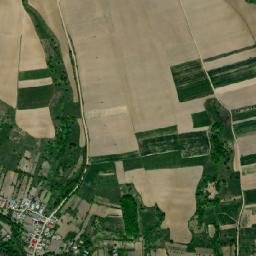 Comuna Bârsăneşti map(satellite map)