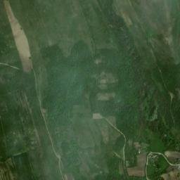 Motoşeni map(satellite map)