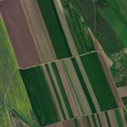 Băcani map(satellite map)