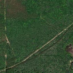 McCreights Road, Huron Shores, ON P0R High Resolution Satellite Map