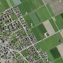 Vionnaz map(satellite map)