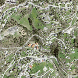 Randogne map(satellite map)