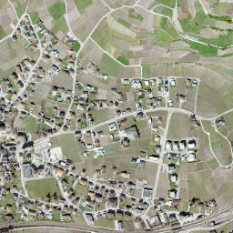Salgesch map(satellite map)