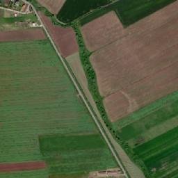 Oraş Pâncota map(satellite map)