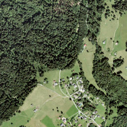 Aigle District map(satellite map)