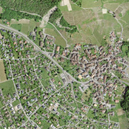 Ollon map(satellite map)
