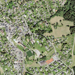 Villars-sur-Ollon map(satellite map)