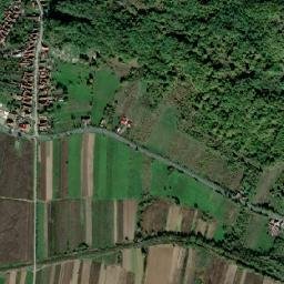 Pleşcuţa map(satellite map)