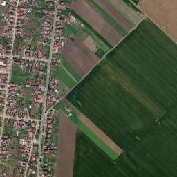 Andrei Șaguna map(satellite map)