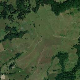 Poienile-Mogoş map(satellite map)