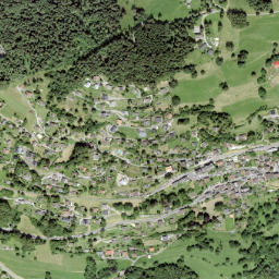 Gryon map(satellite map)