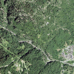 Buseno map(satellite map)
