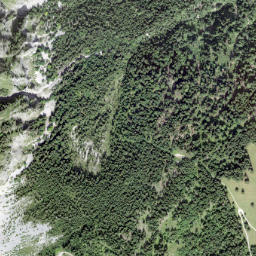 Monthey District map(satellite map)