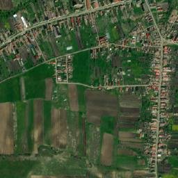 Băgaciu map(satellite map)