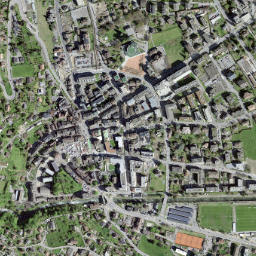 Monthey map(satellite map)