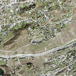 Sion District map(satellite map)