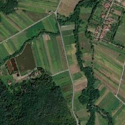Brazii map(satellite map)