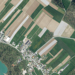 Hrastje map(satellite map)