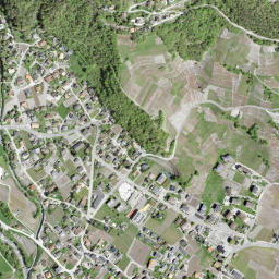 Chamoson map(satellite map)