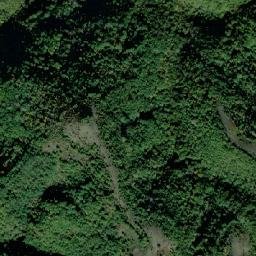 Comuna Ribiţa map(satellite map)