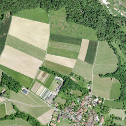 Dardagny map(satellite map)