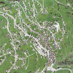 Basse-Nendaz map(satellite map)