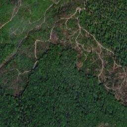 Comuna Oituz map(satellite map)
