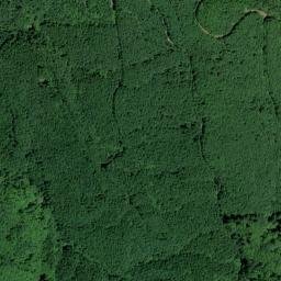 Cowlitz County map(satellite map)