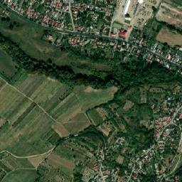 Căiuți map(satellite map)