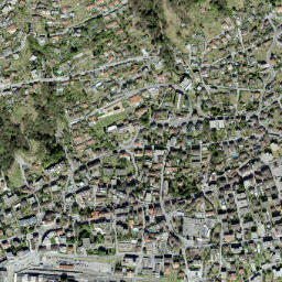 Muralto map(satellite map)